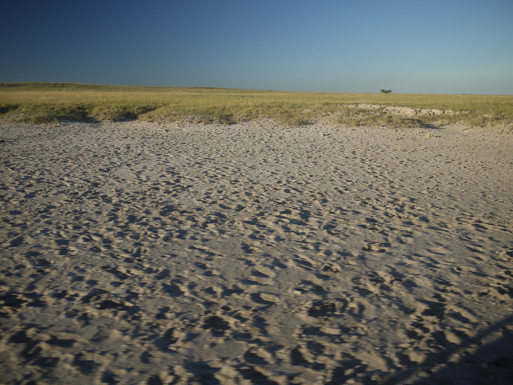 Makgadikgadi Pan Makgadikgadi salt flats, Botswana gigglesyee Flickr