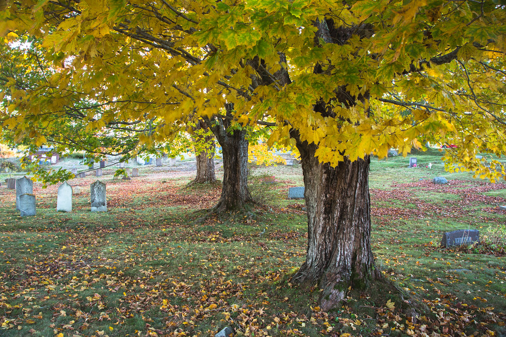 519A03825 Castine, Maine Cemetary David Cobb Flickr