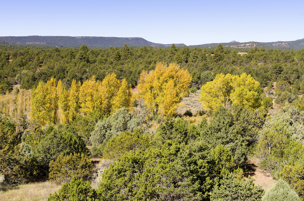 Elevation of Glorieta Pass, Glorieta, NM, USA Topographic Map