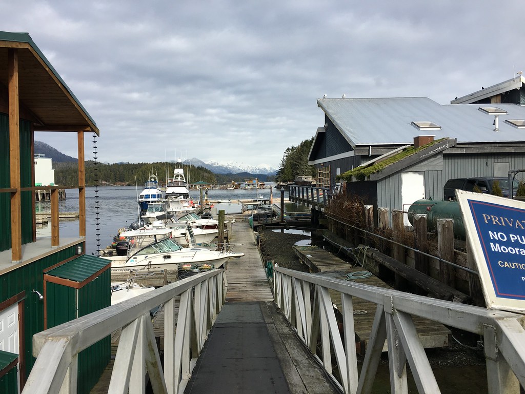 Tofino, BC 2017 Tofino, BC Lee LeFever Flickr