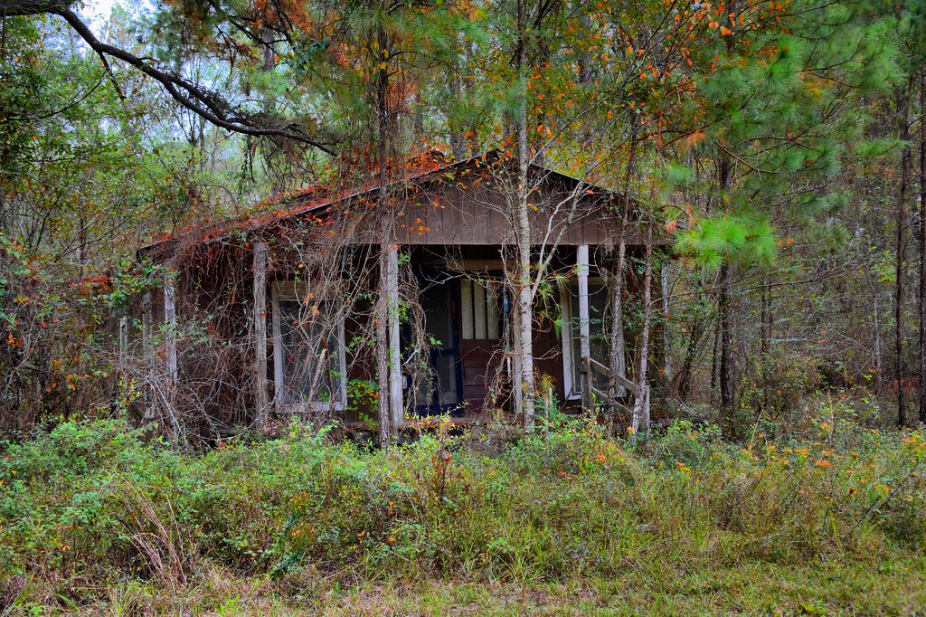 D71_2247_8_9_Localtone Near Homerville. Ga somewhere Flickr