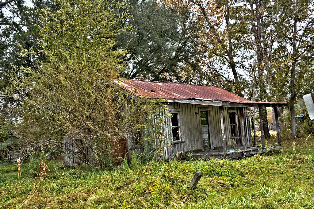 D71_2235_6_7_Detail Near Homerville. Ga somewhere Capt Andy Flickr