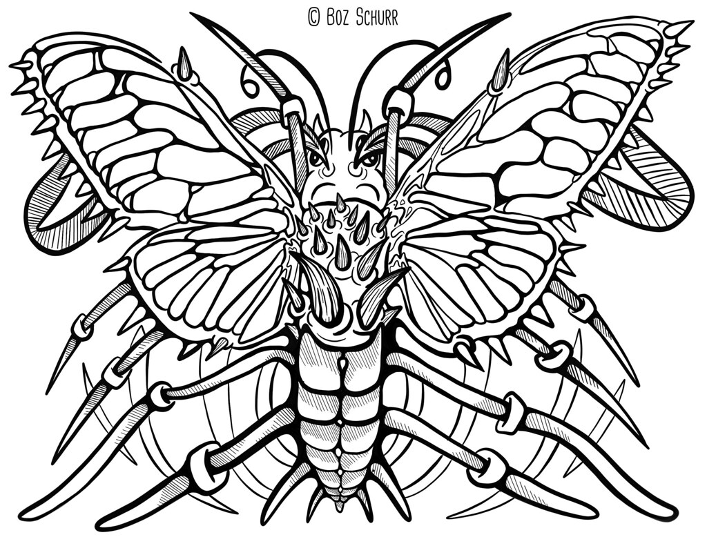 167/365 June 16, 2017 Boz Schurr