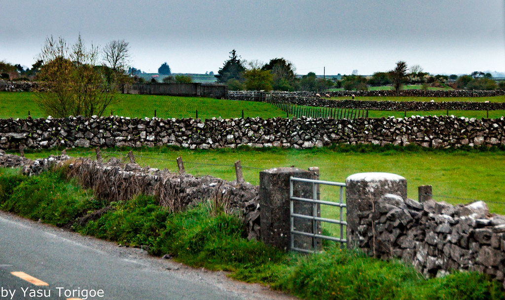 Rock Fences, Mayo Galway Ireland 21 View of rock fences an… Flickr