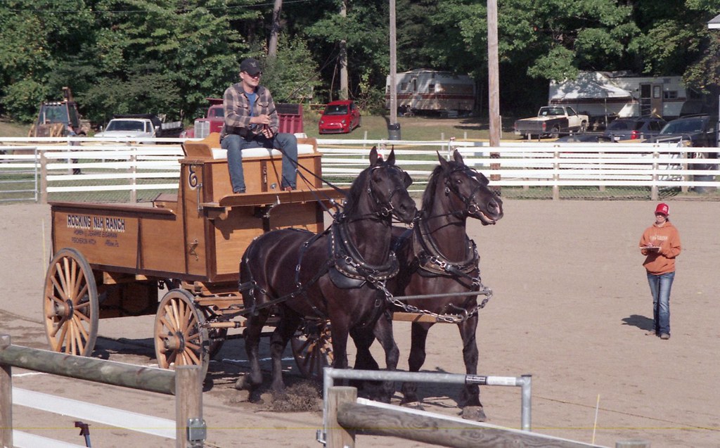Albion Fair 2017 Draft Horse Games John Jones Flickr