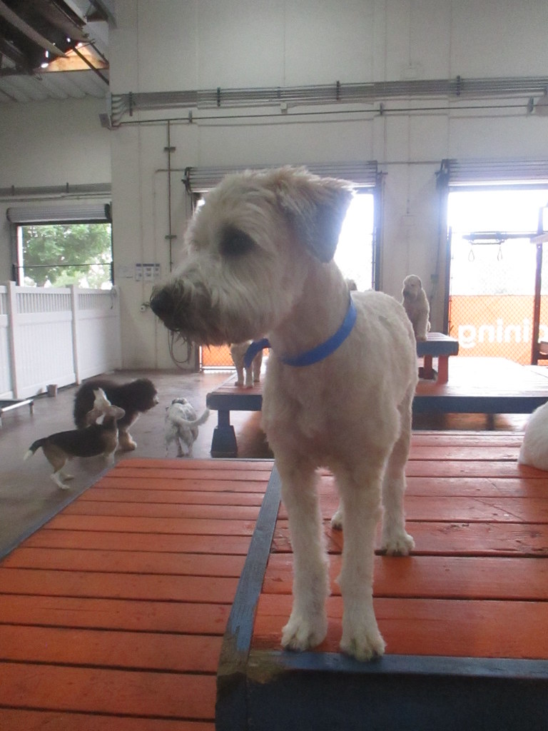 002 Dr. Boyd's Irvine Flickr