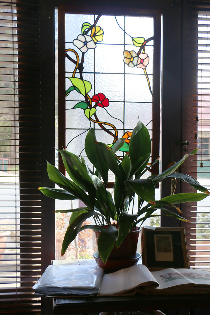 Captains Flat 'The Outsider Gallery' QPRC Art Trail Flickr