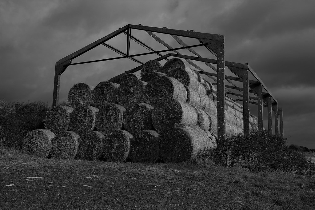441A5139 Straw bales 1 Simon Crabb Flickr