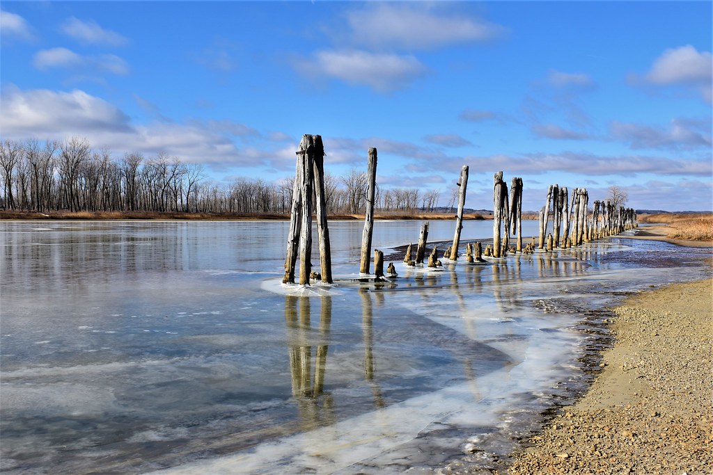 First Freeze First freeze, Middle Decatur Bend State Wildl… Flickr