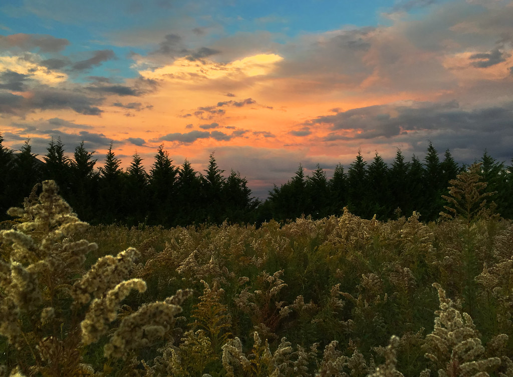 Elevation of Fairless Hills, PA, USA Topographic Map Altitude Map