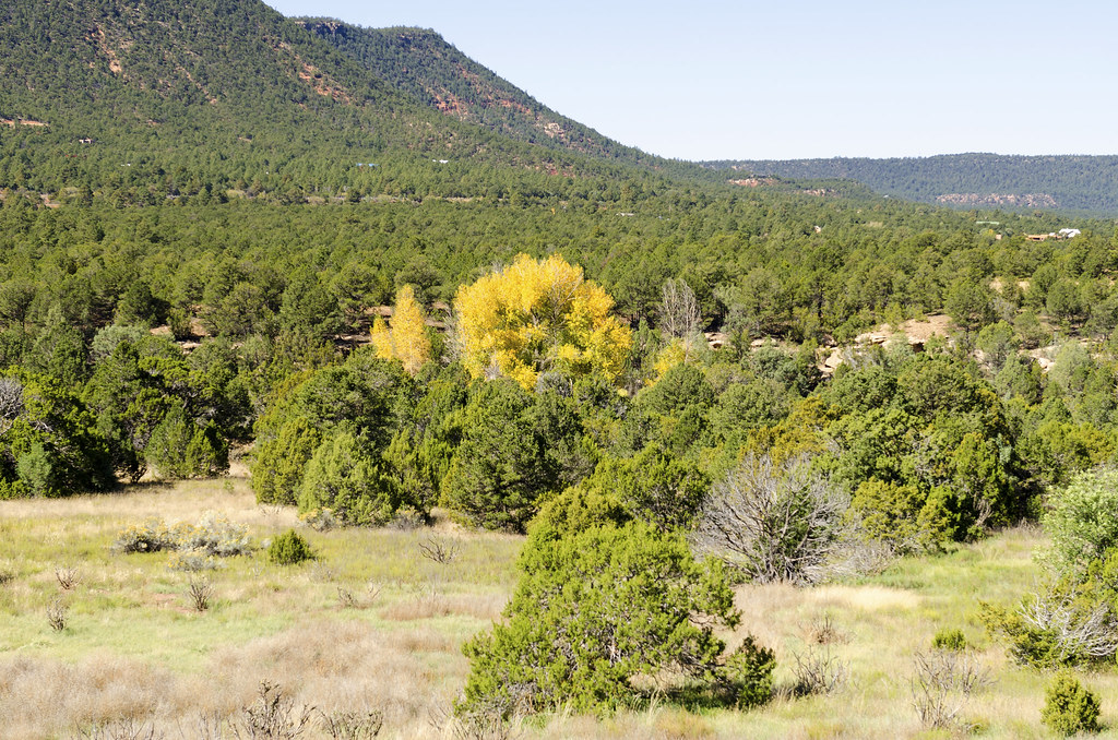 Elevation of 49 Silver Feather Trail, Pecos, NM, USA Topographic Map