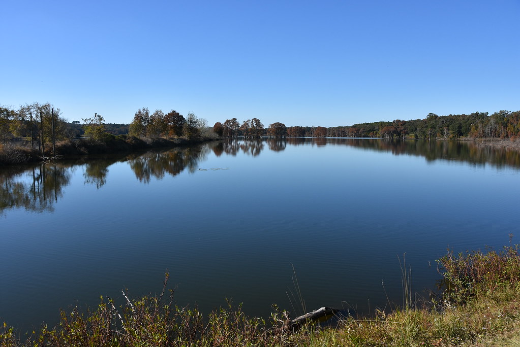 Hiking Around Piney Z Lake, Tallahassee, Florida Angelika Parker Flickr