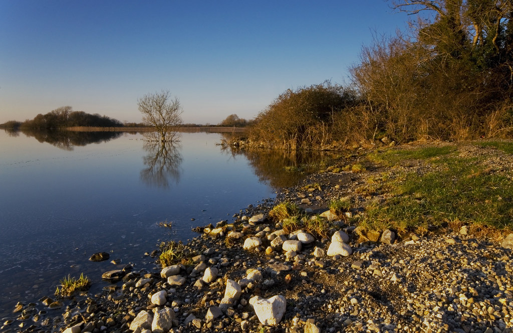 The Lakeshore of Lough Ree The Lakeshore of Lough Ree Flickr