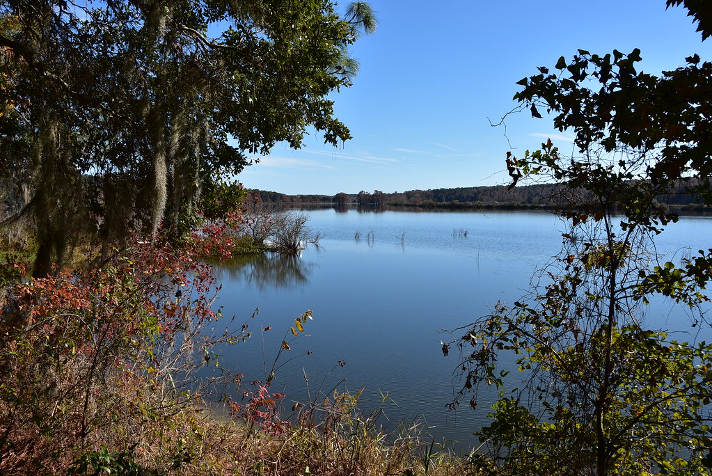 Hiking Around Piney Z Lake, Tallahassee, Florida Angelika Parker Flickr