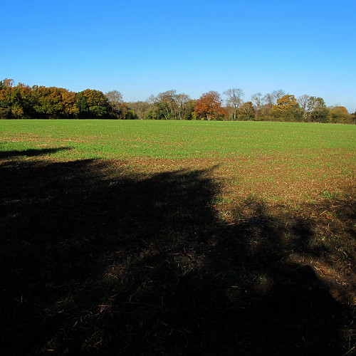 Keston Ponds to Downe 88 Laurie Lopes Flickr