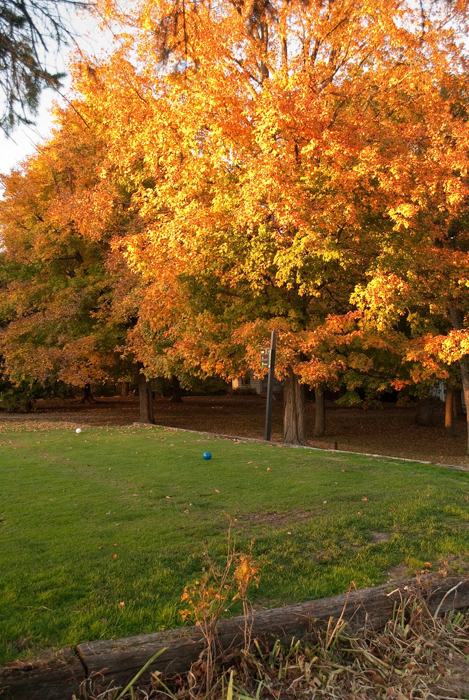 Lake Bracken Scenic 140 L Griffith Flickr