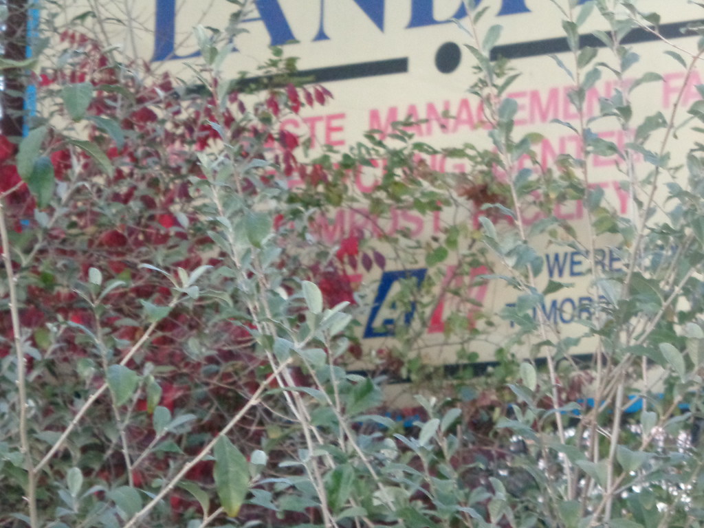 The Laidlaw Plainville Landfill The Plainville Landfill Cl… Flickr