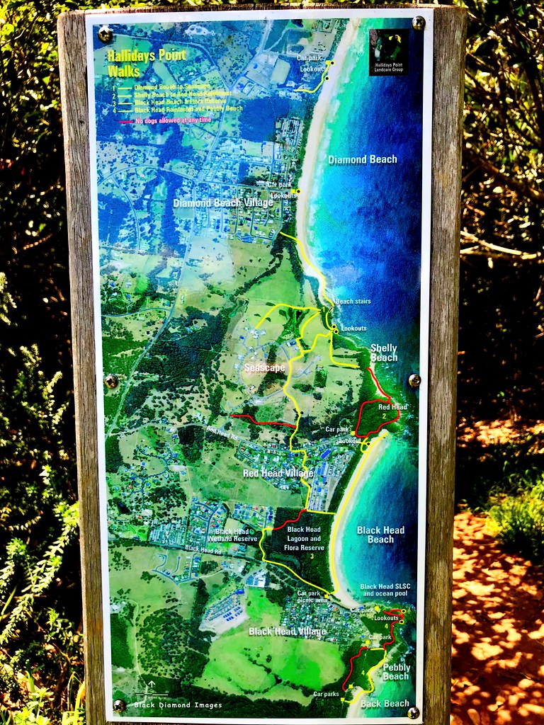 Happy Hallidays Park Map Walking Trail Map of Hallidays Point, Mid North Coast, NSW… Flickr