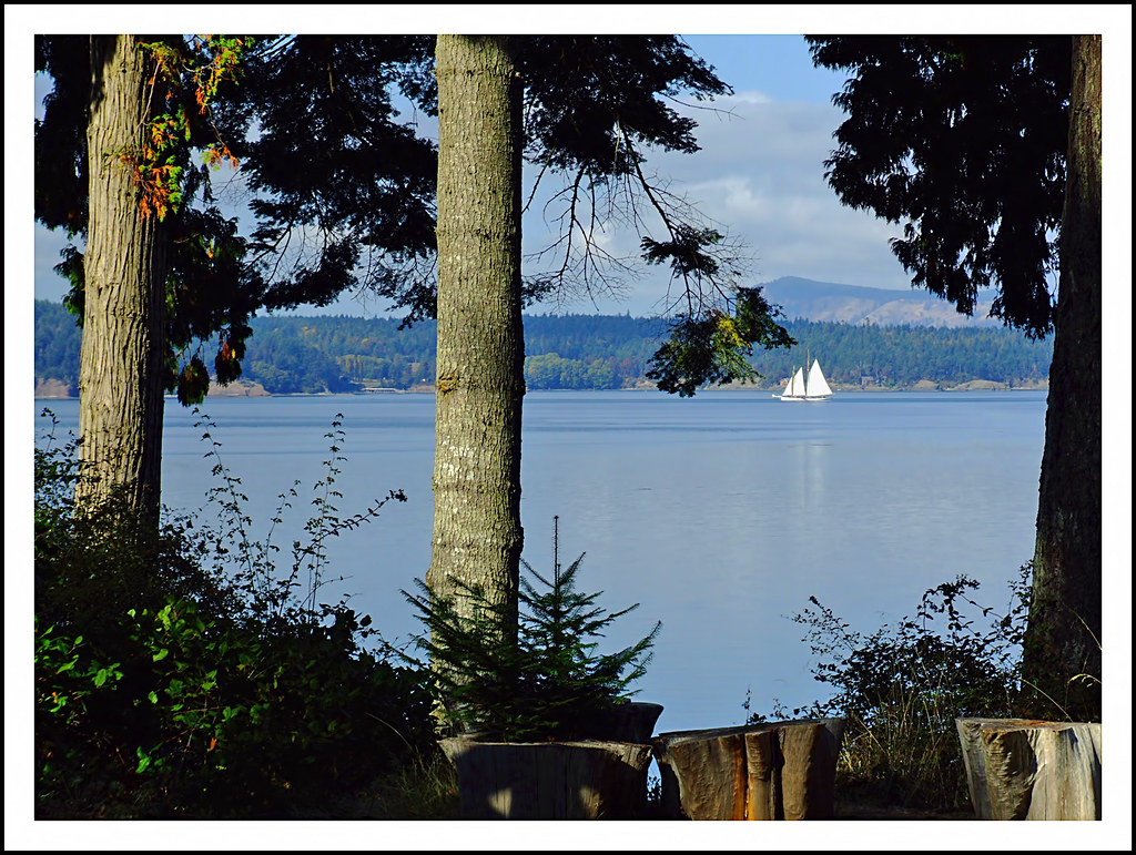 Sailboat Between Orcas and Waldron Islands a photo on Flickriver