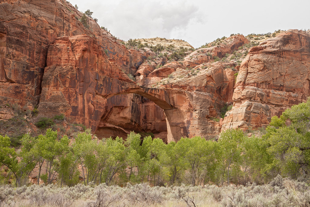 Natural Bridge/Arch in Escalante River Canyon Photo taken … Flickr