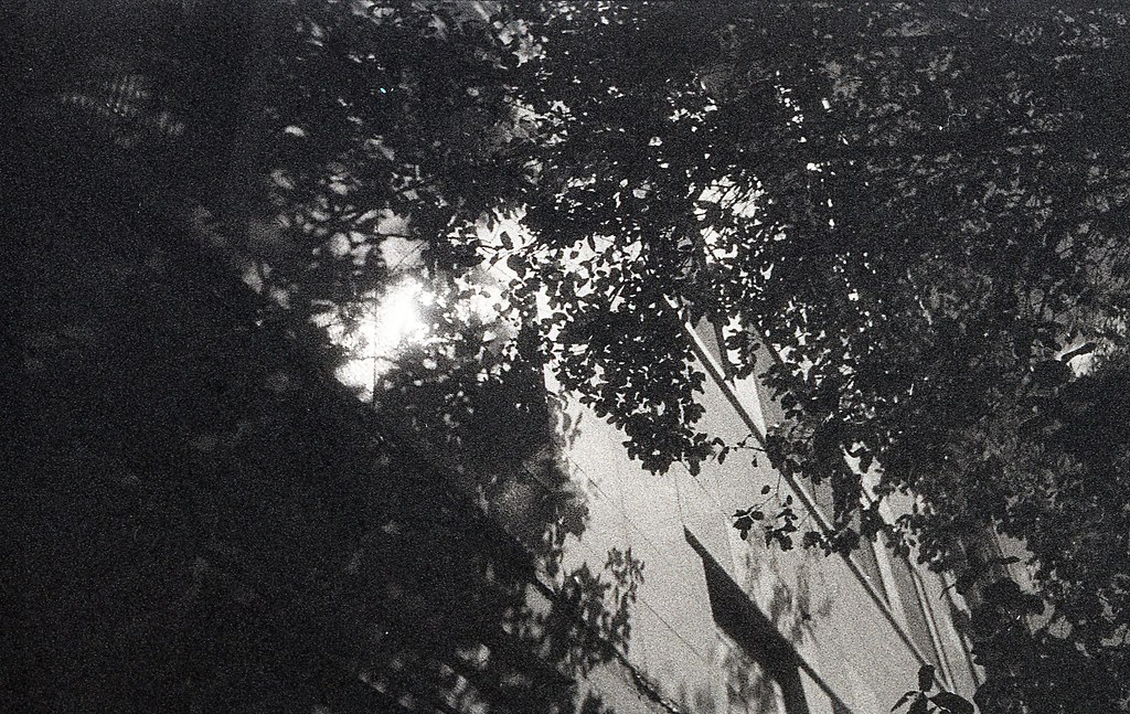 img153 Kodak Recording Film 2475, expired 1973, shot on Ol… Flickr