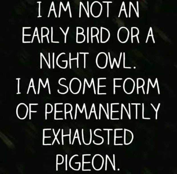 70以上 night owl quotes 365468Night owl quotes funny
