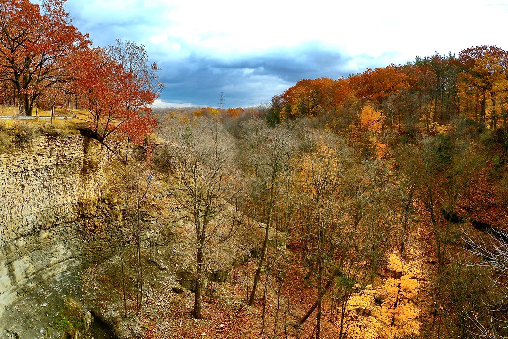 Upper King’s Forest Park, Hamilton, Canada Leo Li Flickr