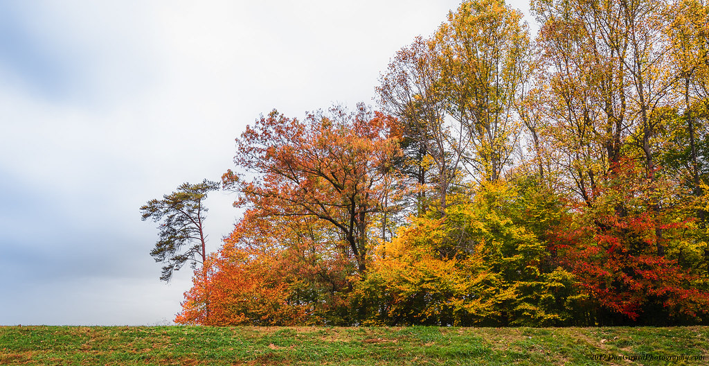 20171104 VA Lake Mercer Fall004 Dan Girard Flickr