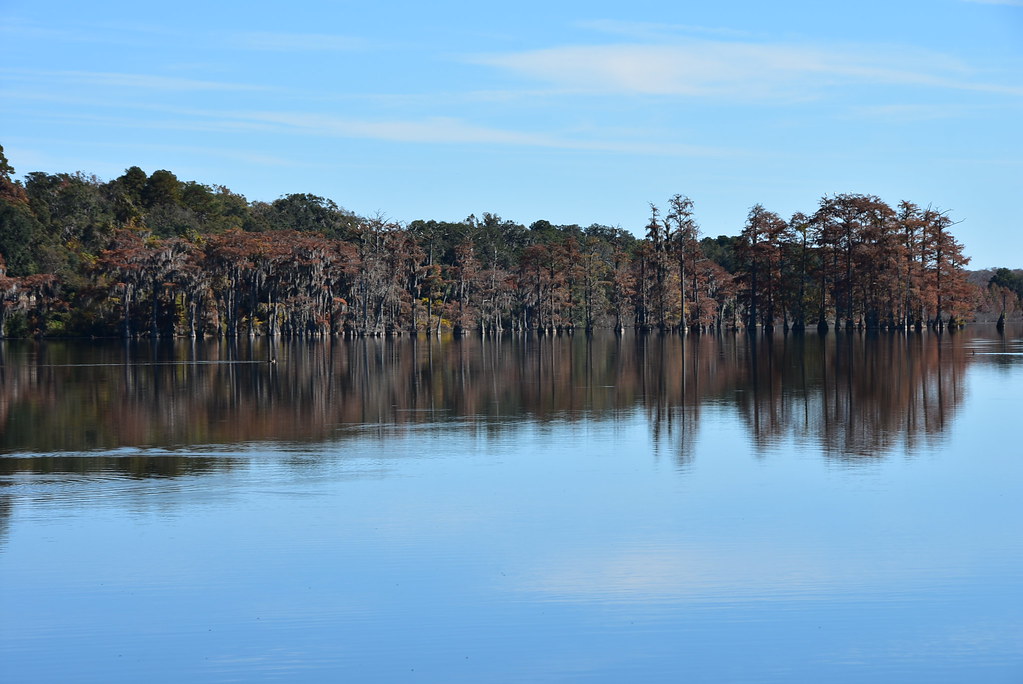 Hiking Around Piney Z Lake, Tallahassee, Florida Angelika Parker Flickr