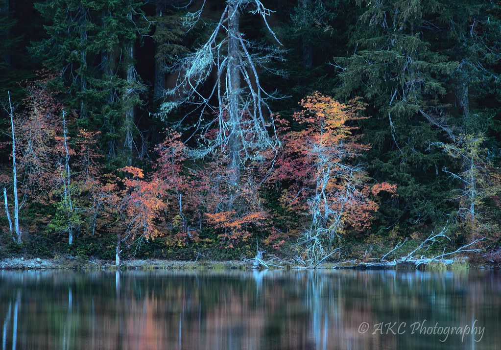 Drum Lake3 wm Drum Lake, near Gold River, BC, Nikon D7000 jacann40