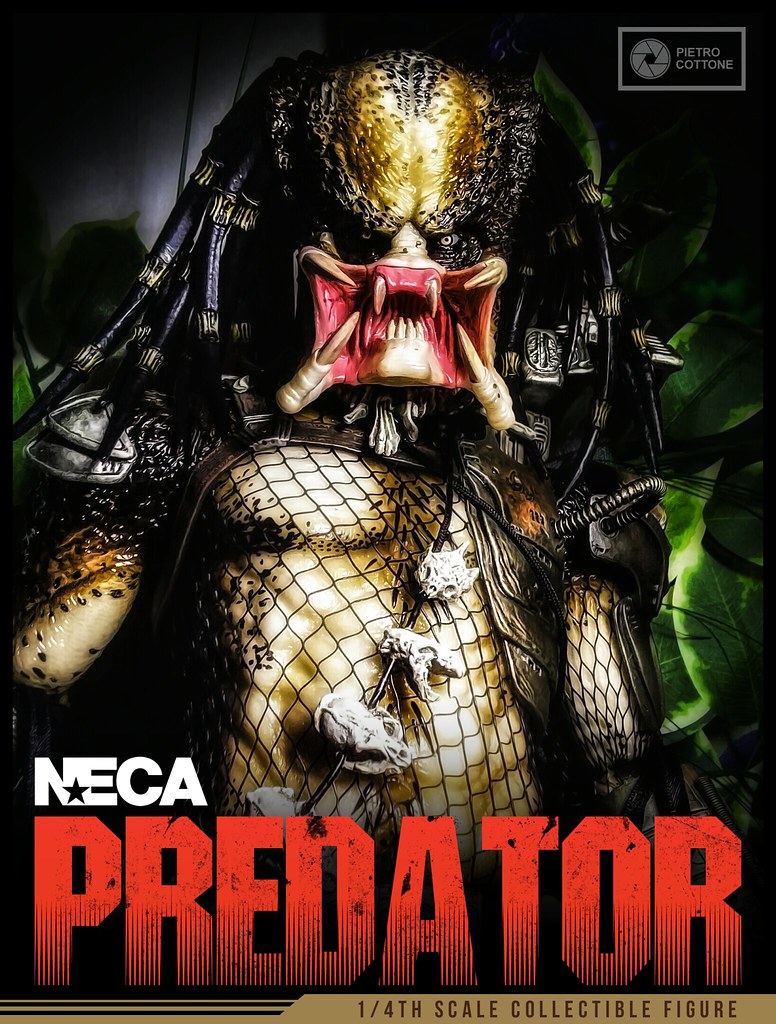 predator Predator Jungle