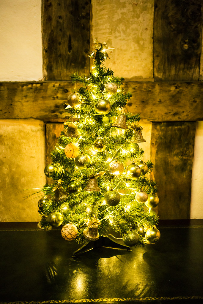 Small Christmas tree Courtesy of Mark Radford Photography Coventry
