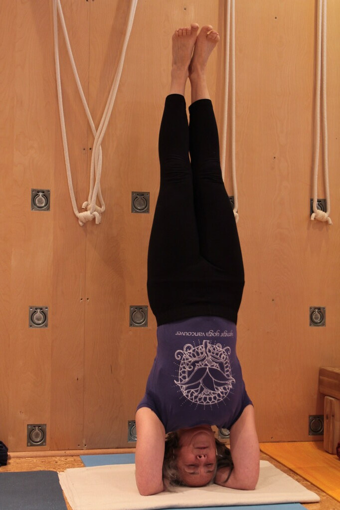 Louie Ettling Yoga North Winnipeg Flickr