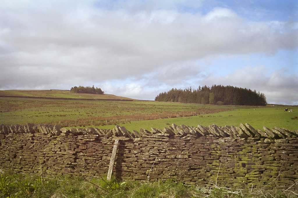 Northumberland Drystone Dappled Light III Agfa Record III.… Flickr