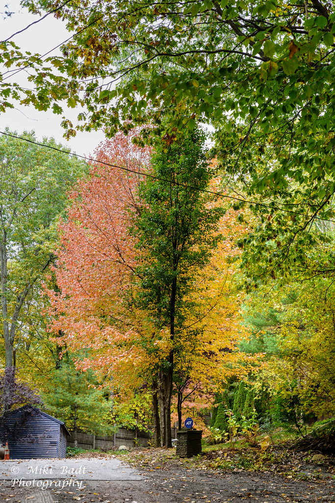 Elevation of Jennings Music Building, 59 The Orchard, North Bennington