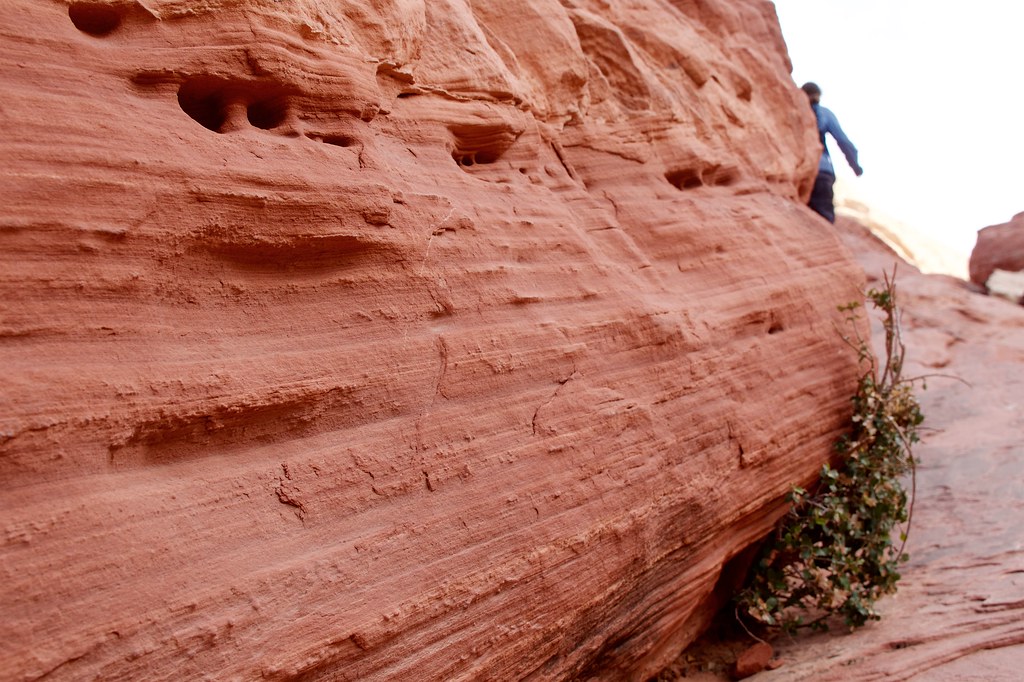 Calico Tanks Trail Red Rocks Canyon, Las Vegas, NV Frank Fujimoto Flickr