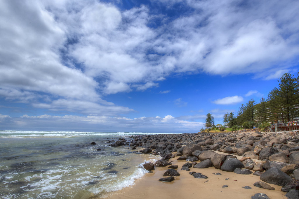 Permanent Christmas Trees 🎄 They're not especially ready … Flickr