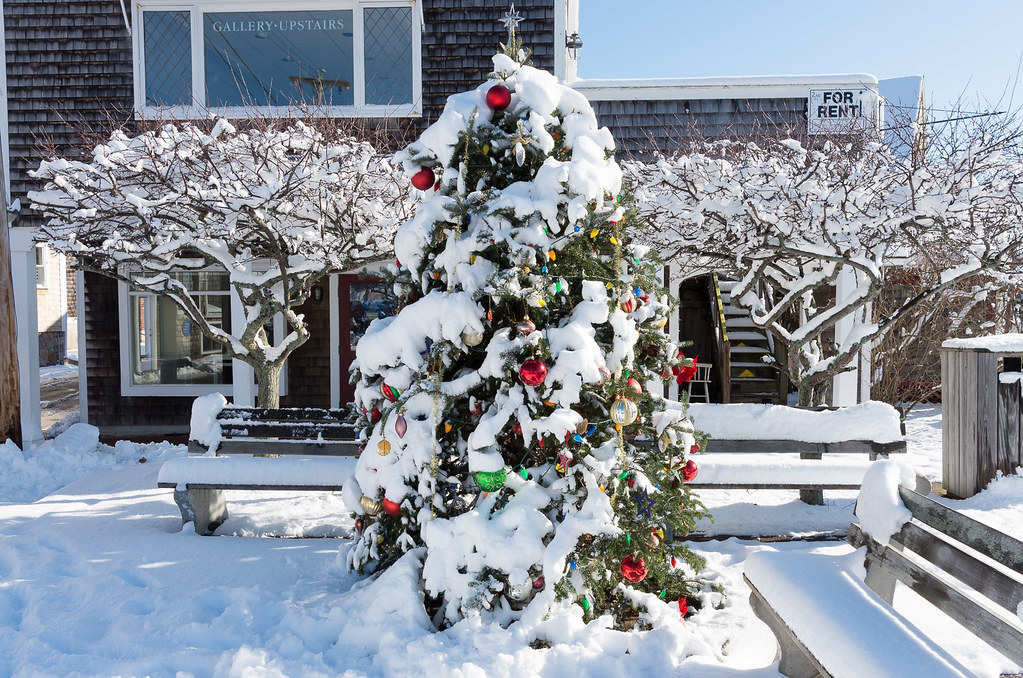 Christmas Tree Perkins Cove, Ogunquit, Maine IMGP6926.jpg Bill