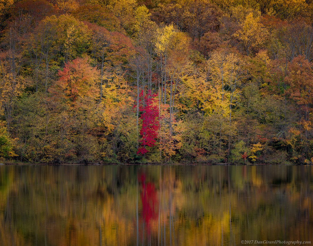20171104 VA Lake Mercer Fall018 Dan Girard Flickr
