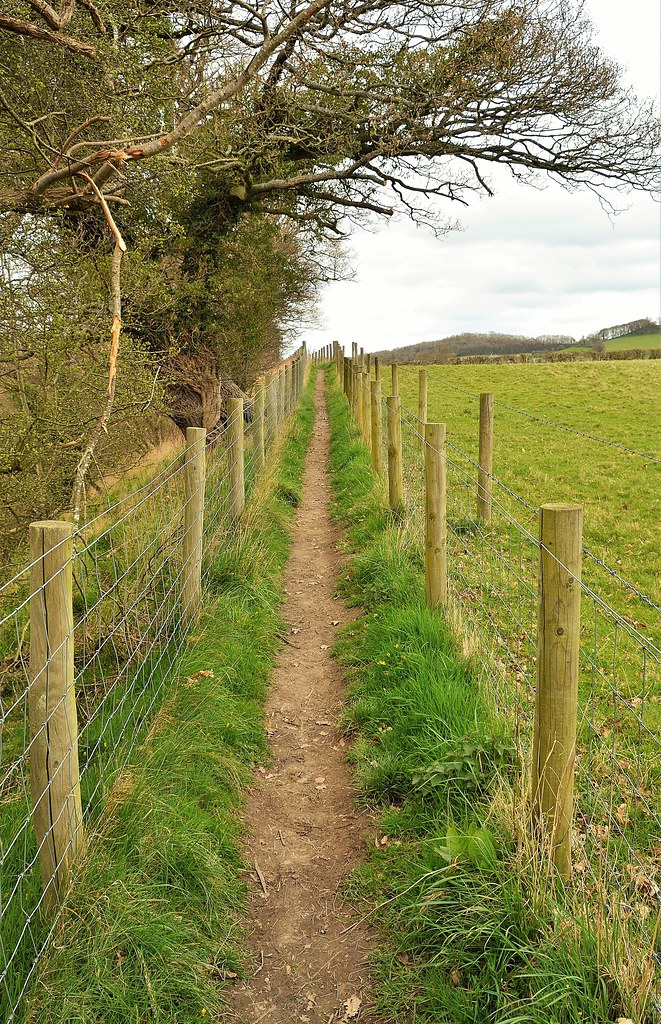 29679 The Shropshire Way public footpath leading way from … Flickr