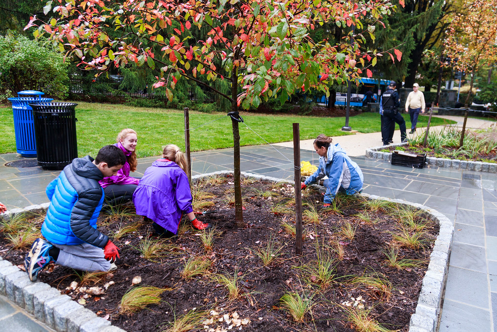_MG_1865 Western Grove Urban Park 2017. Photo by Marilyn S… Flickr