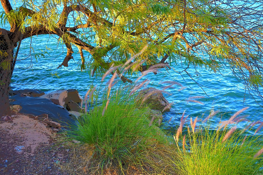 Lake Havasu Lake Havasu, the reservoir behind Parker Dam, … Flickr
