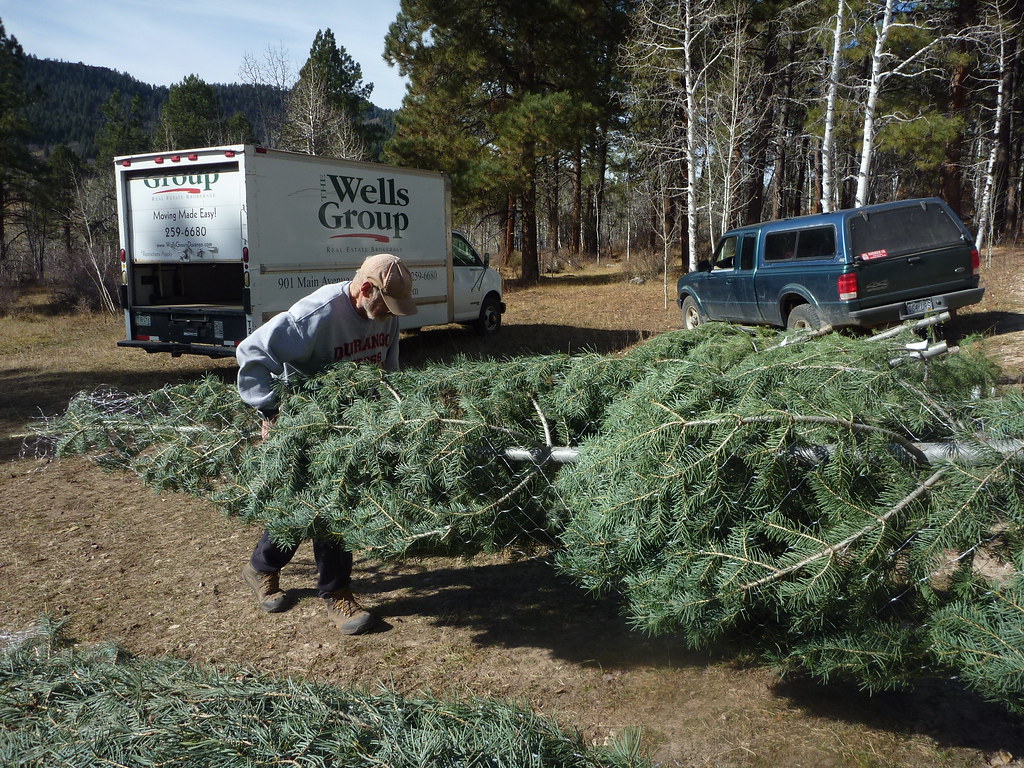 Christmas Tree Cutting, Nov. 16, 2017 Flickr