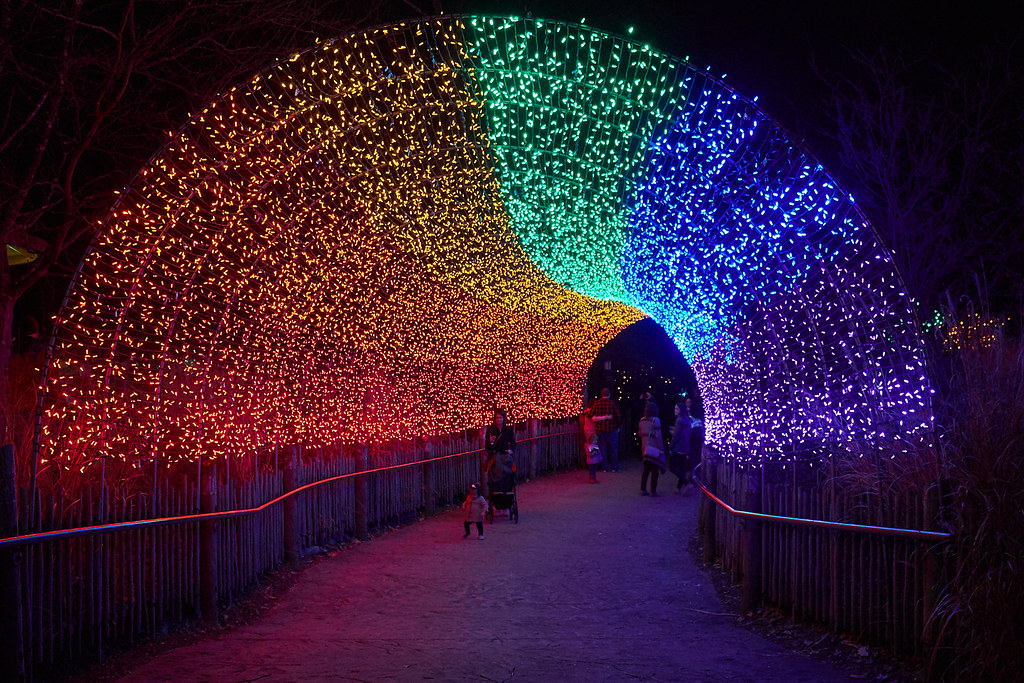 Holiday Lights Bronx Zoo