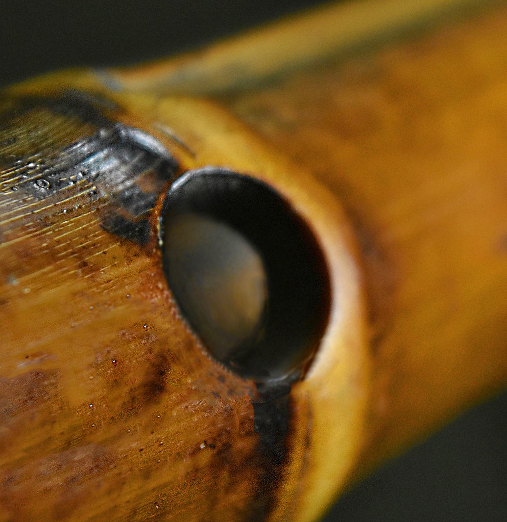 Bamboo Flute HoleHMM! MacroMondaysMusical Instrument Th… Flickr