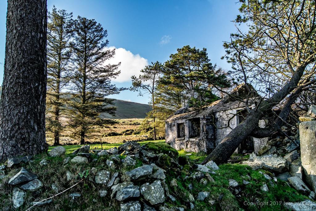 Elevation of Whitestown, Co. Louth, Ireland Topographic Map