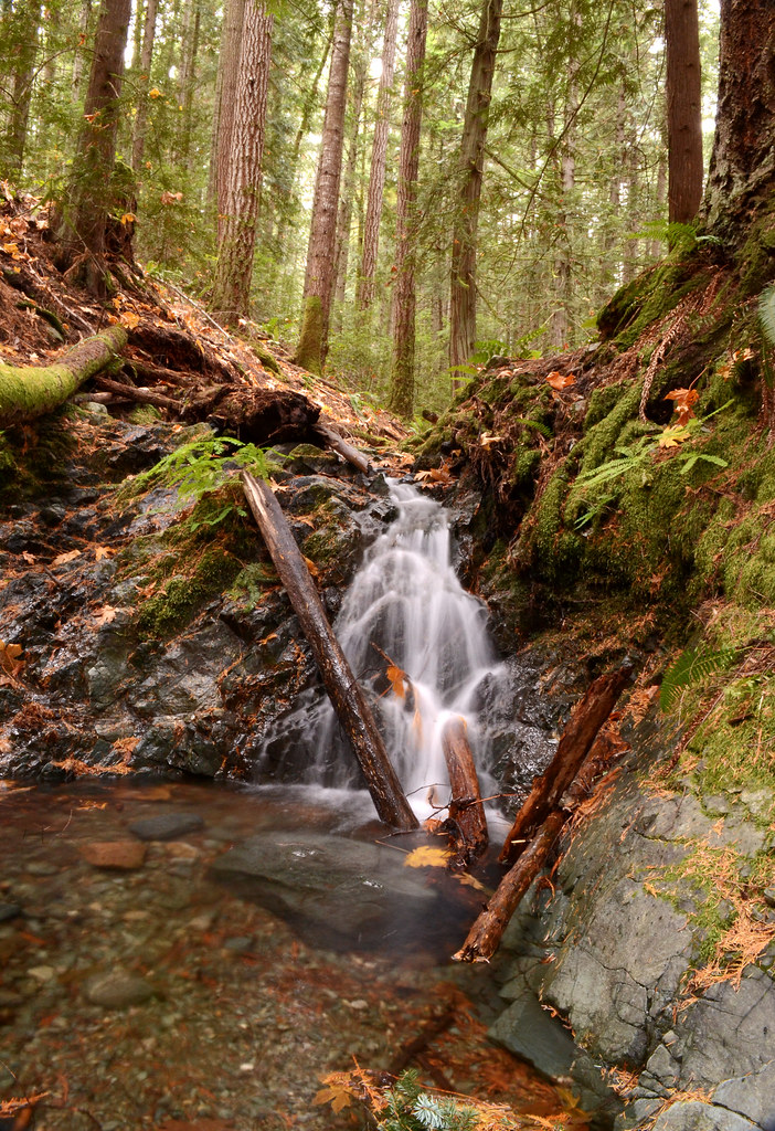 Knarston Creek, Lantzville, BC Lantzville Foothills Leonel Richard