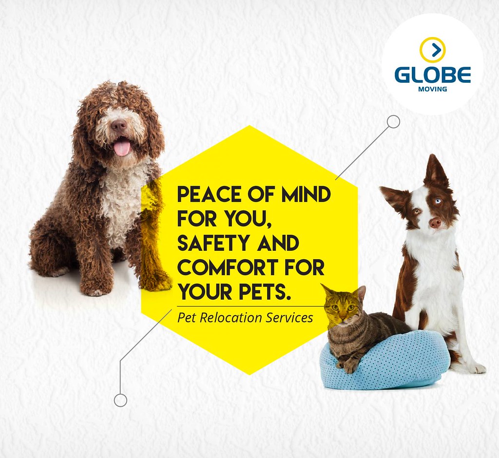 Pet Relocation Services We should care for the pets while … Flickr