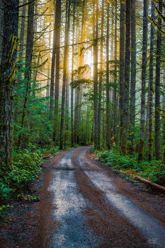 Elevation of Cowichan Lake Rd, Lake Cowichan, BC V0R 2G0, Canada
