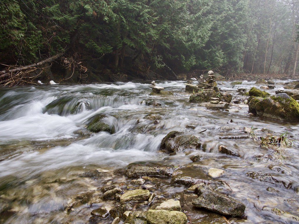 Credit River Belfountain Conservation Area Brandan Norman Flickr